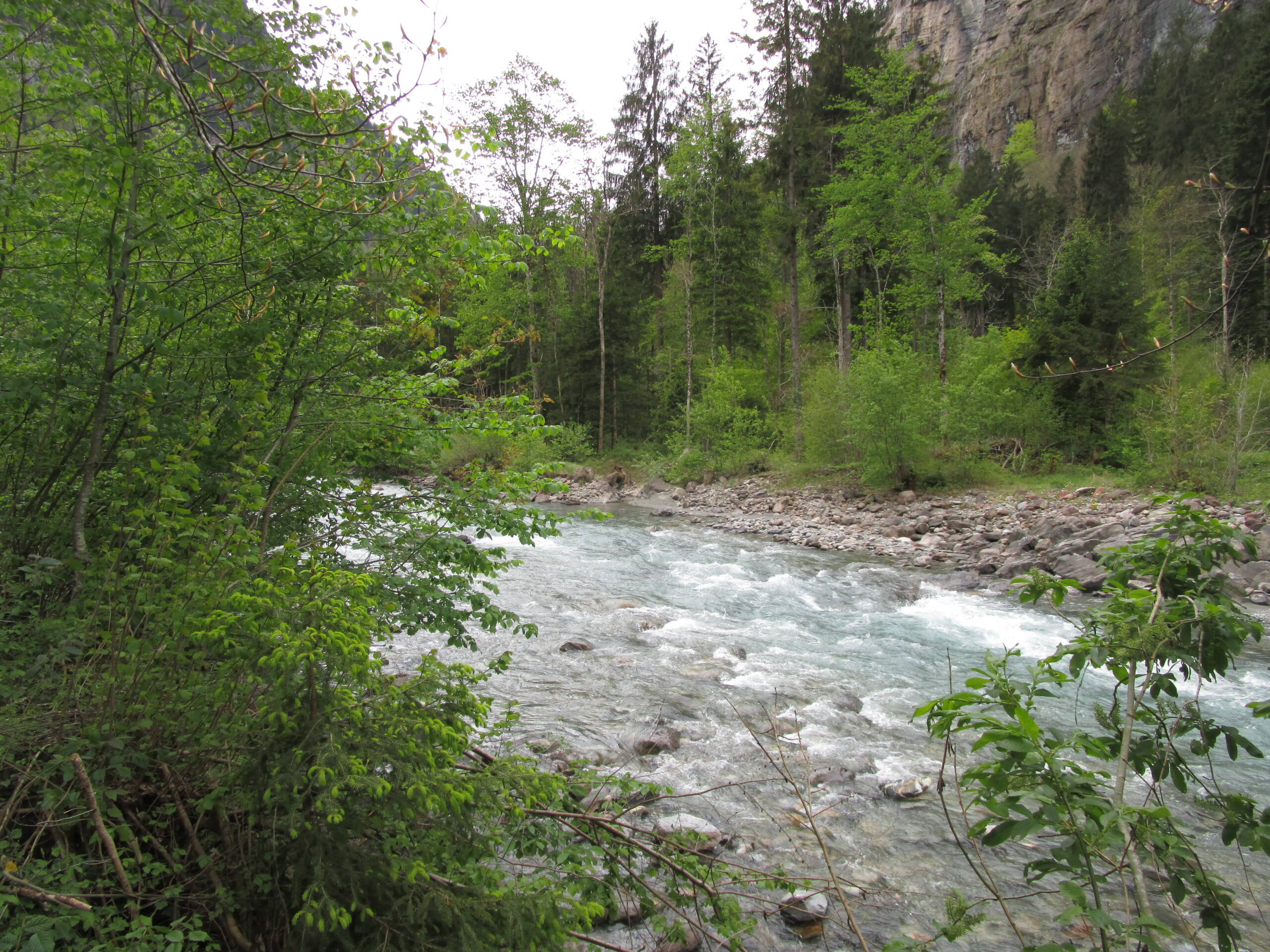 Wasserbaumassnahmen Fäldliwald – Wasserbau – Ribuna AG InterlakenRibuna AG Interlaken