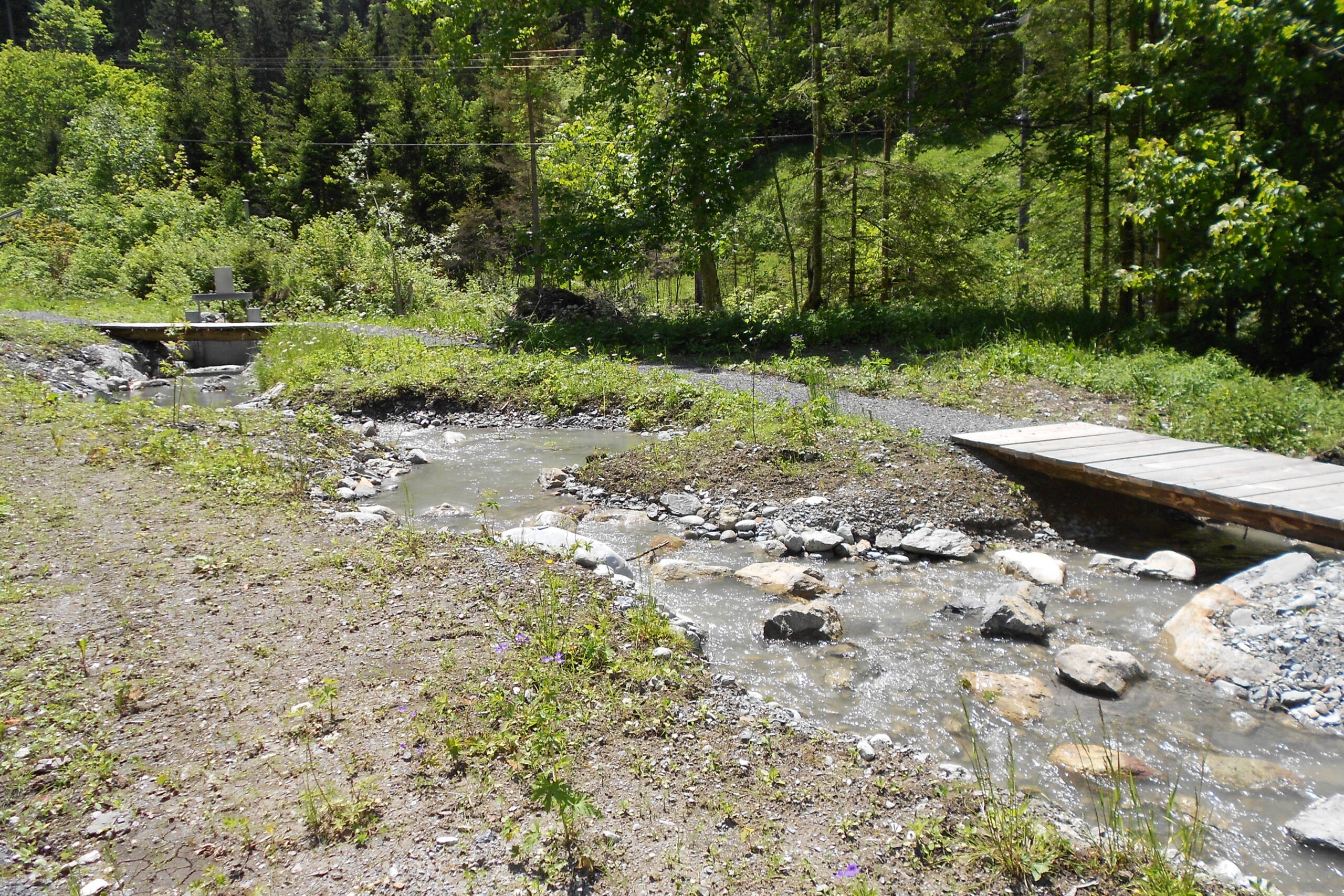 ISP Mösli Lauterbrunnen – Wasserbau – Ribuna AG Interlaken– Ribuna AG Interlaken