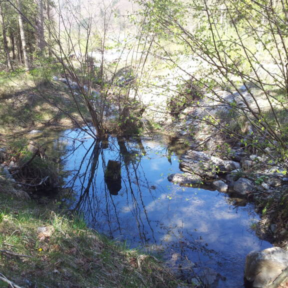 Renaturierung Rächengräbli