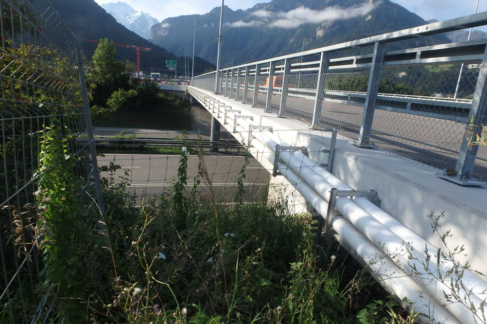 A8 Brücke – Interlaken Konstruktiver Ingenieurbau – Ribuna AG Interlaken