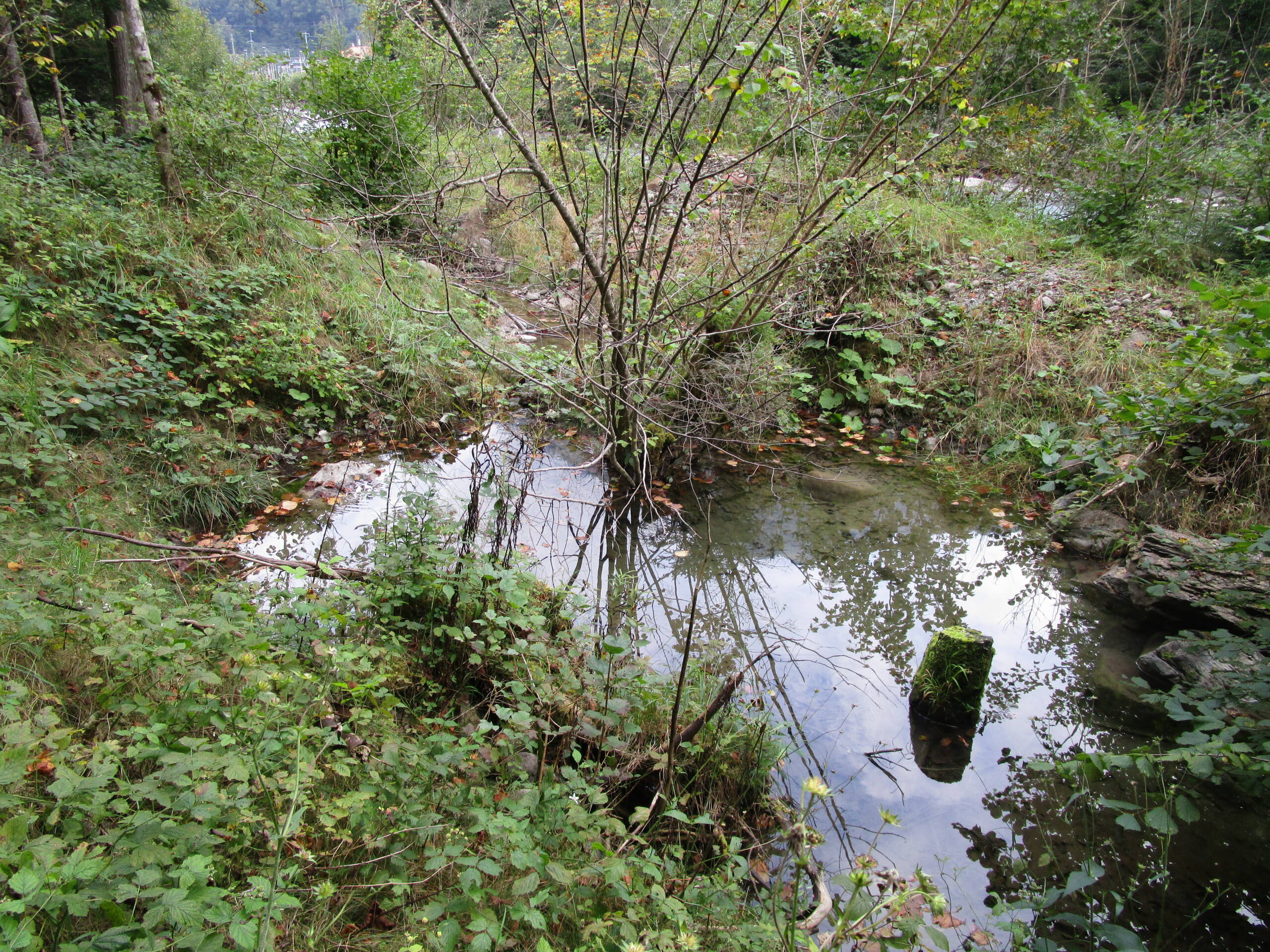 Renaturierung Rächengräbli – Wasserbau – Ribuna AG InterlakenRibuna AG Interlaken
