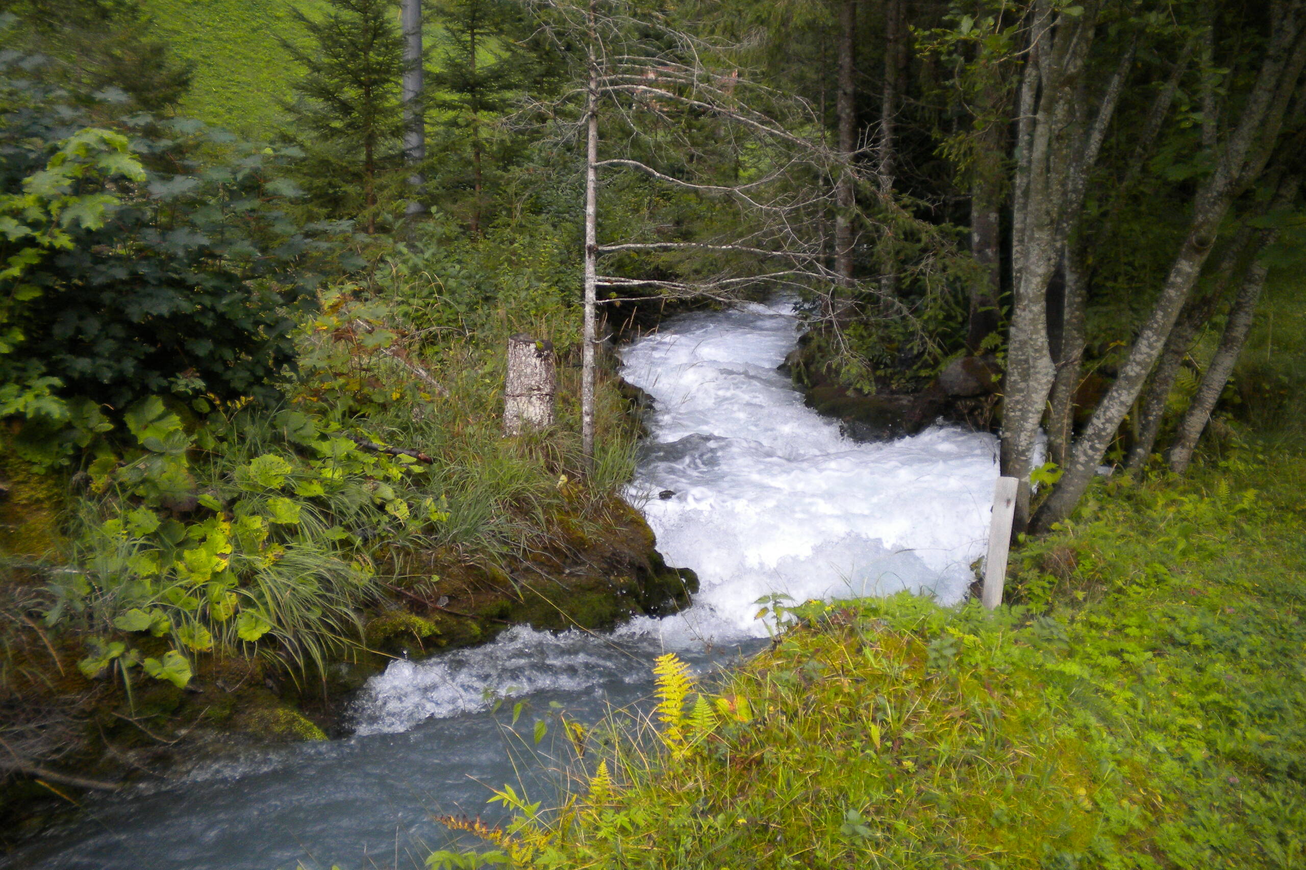 WKW Stechelberg, Ver- und Entsorgung – Ribuna AG Interlaken