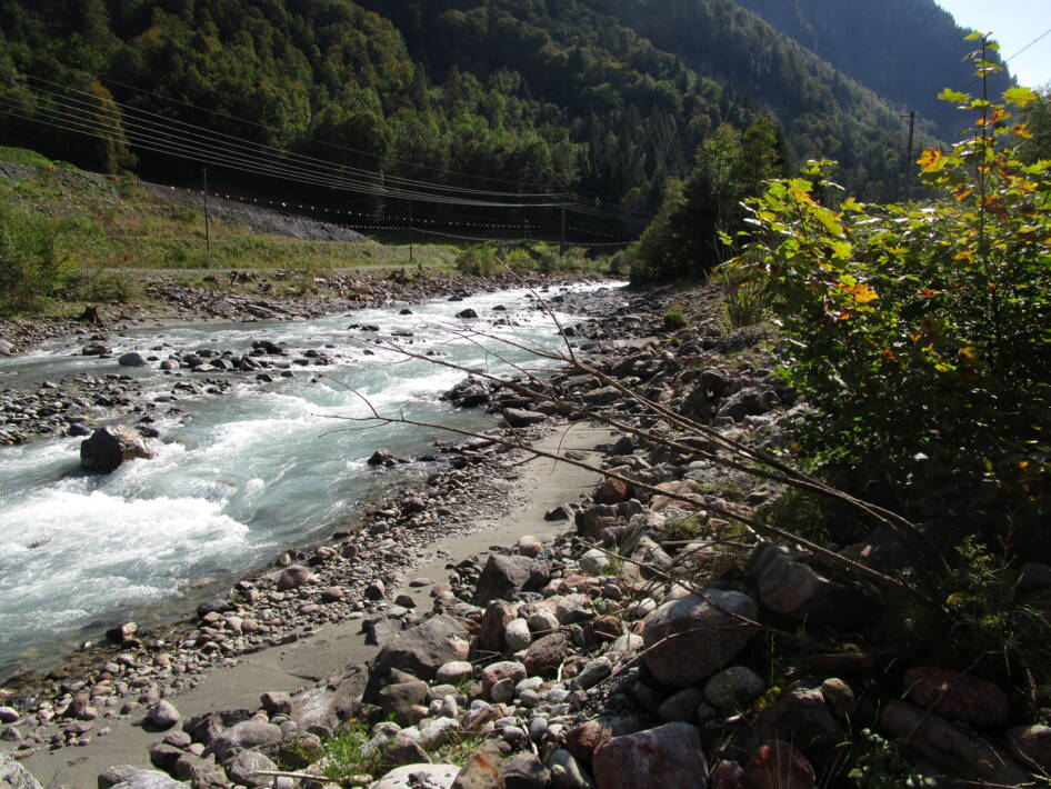 Wasserbaumassnahmen Fäldliwald – Wasserbau – Ribuna AG InterlakenRibuna AG Interlaken
