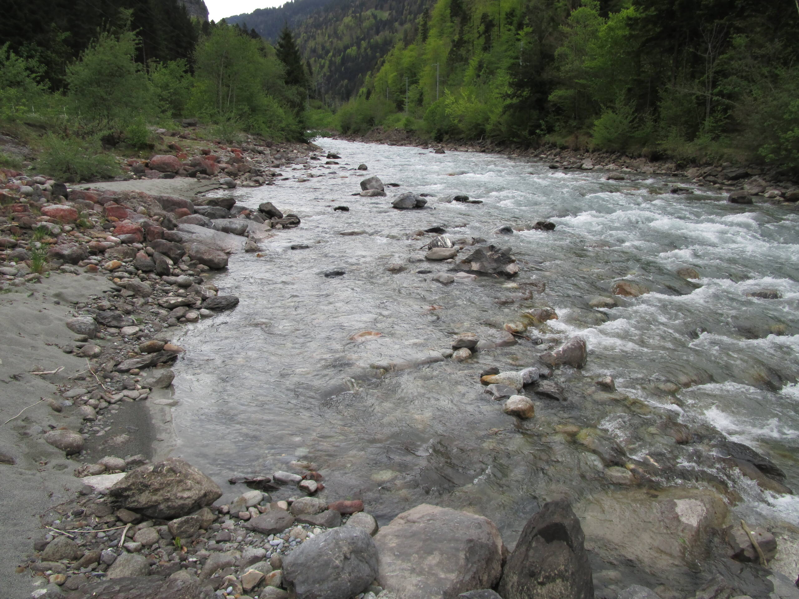 Wasserbaumassnahmen Fäldliwald – Wasserbau – Ribuna AG InterlakenRibuna AG Interlaken