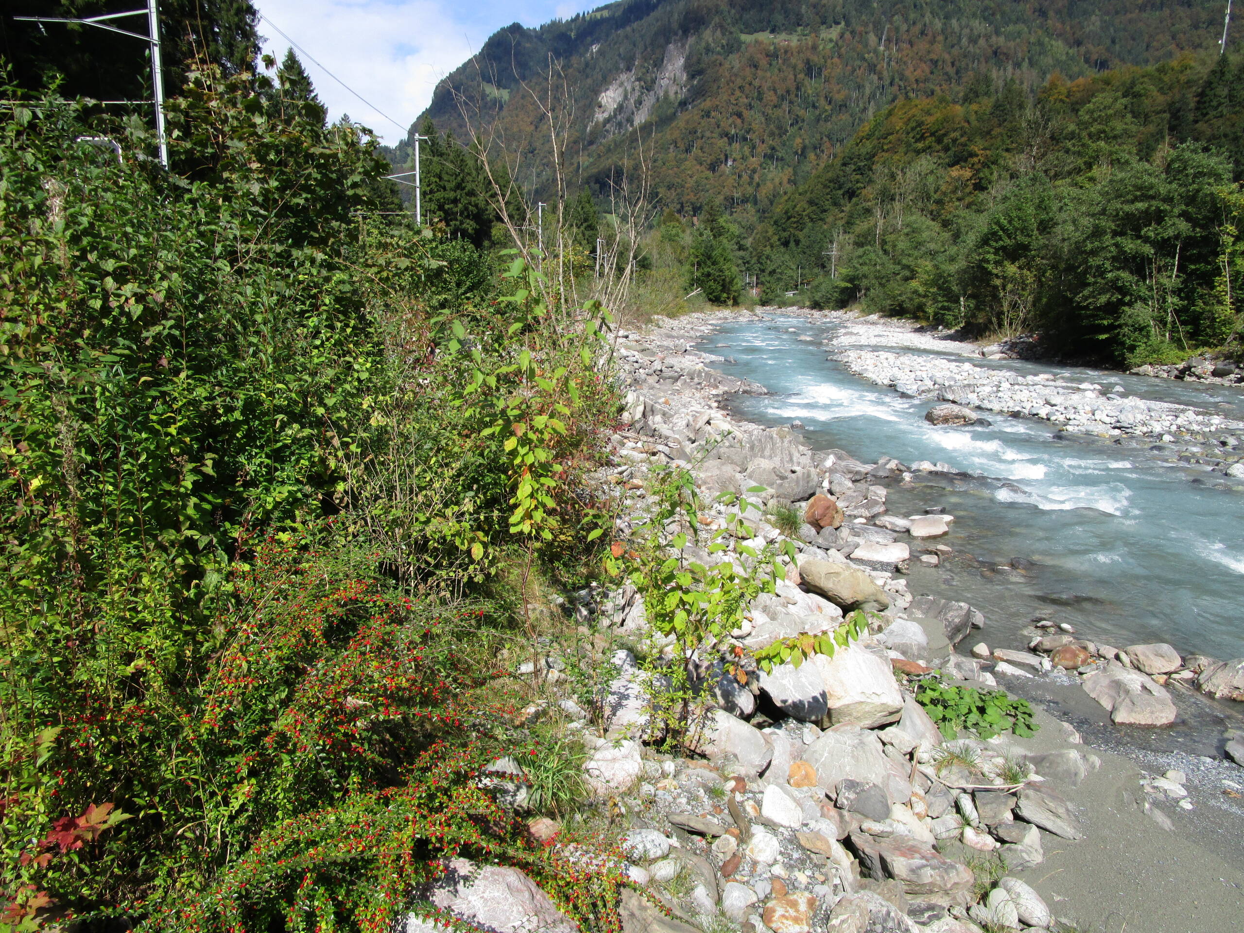 Wasserbaumassnahmen Fäldliwald – Wasserbau – Ribuna AG InterlakenRibuna AG Interlaken