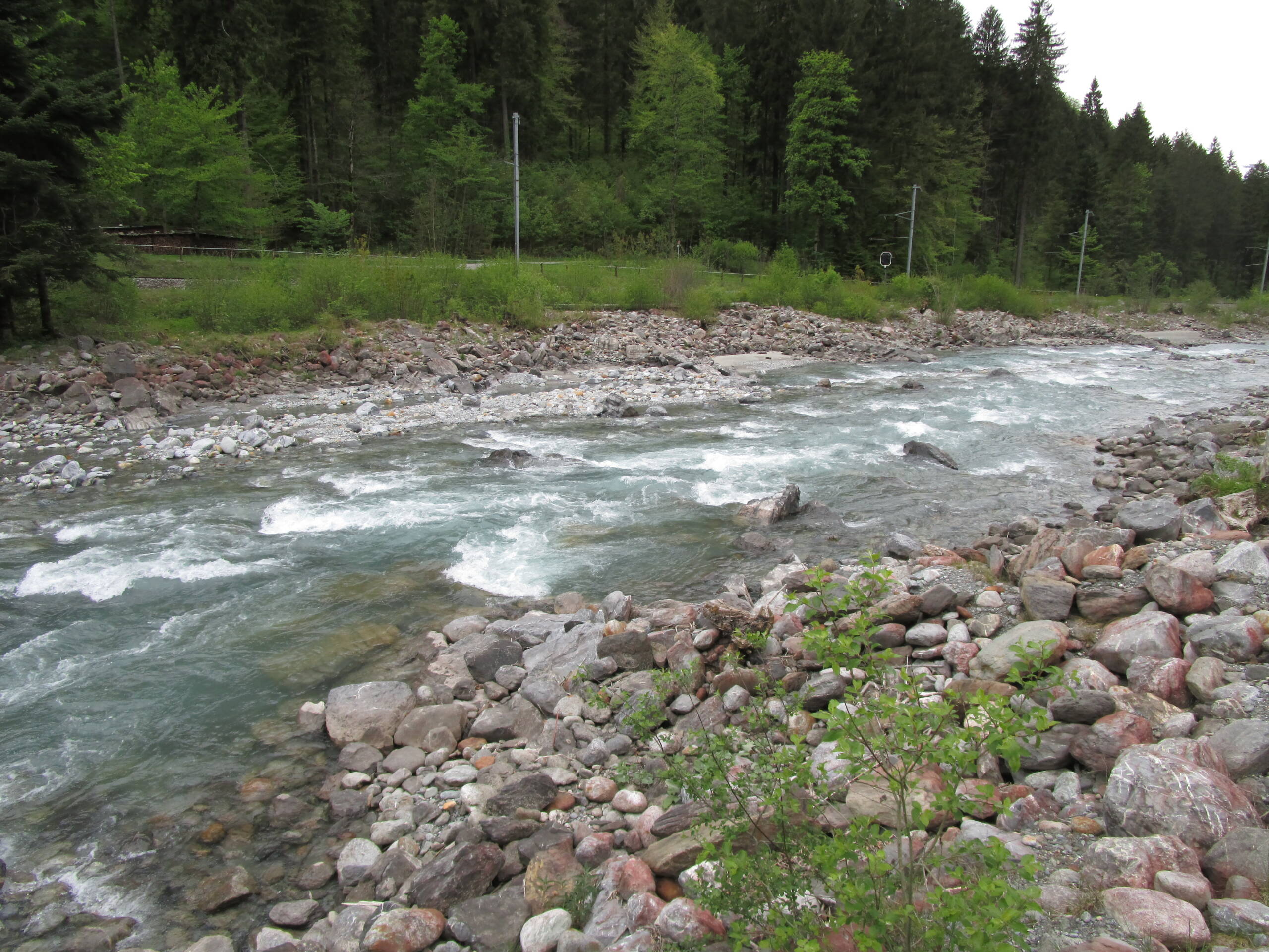 Wasserbaumassnahmen Fäldliwald – Wasserbau – Ribuna AG InterlakenRibuna AG Interlaken