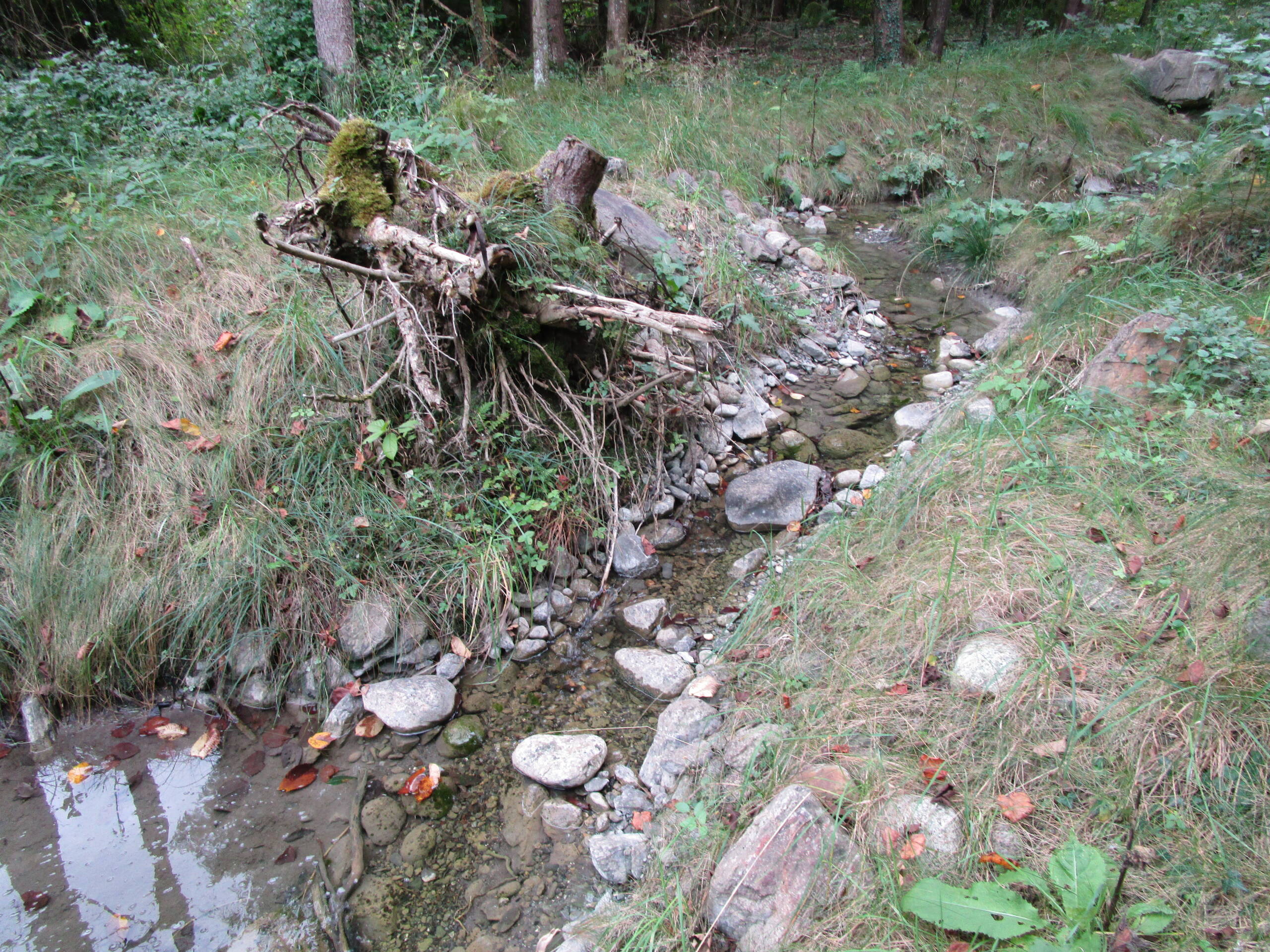 Renaturierung Rächengräbli – Wasserbau – Ribuna AG InterlakenRibuna AG Interlaken