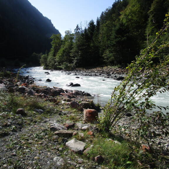 Wasserbaumassnahmen Fäldliwald