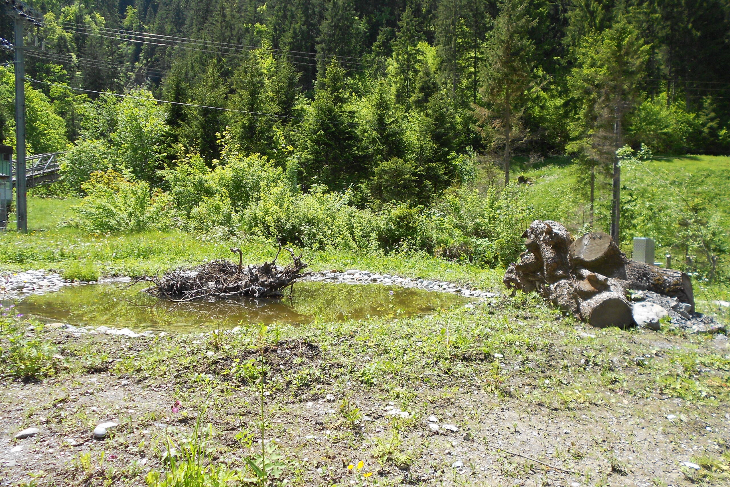 ISP Mösli Lauterbrunnen – Wasserbau – Ribuna AG Interlaken– Ribuna AG Interlaken