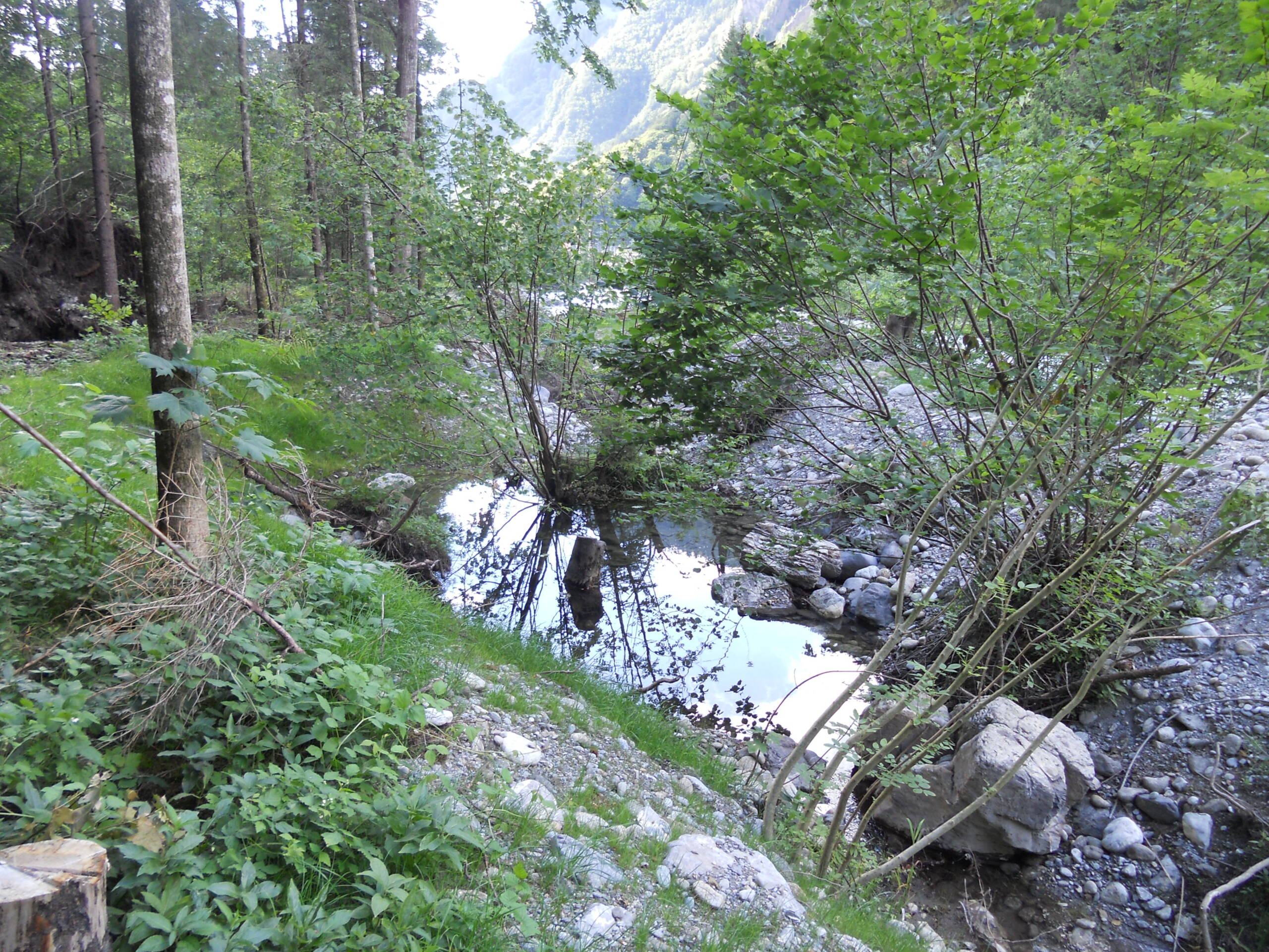 Renaturierung Rächengräbli – Wasserbau – Ribuna AG InterlakenRibuna AG Interlaken