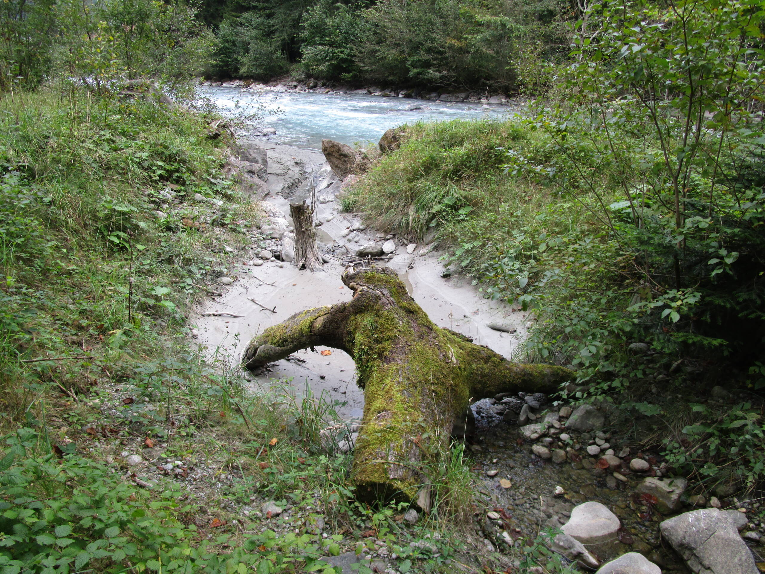 Renaturierung Rächengräbli – Wasserbau – Ribuna AG InterlakenRibuna AG Interlaken