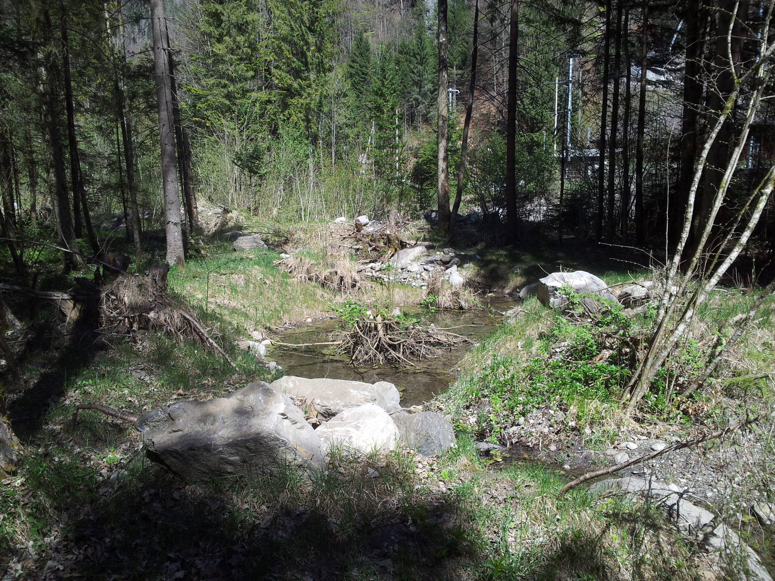 Renaturierung Rächengräbli – Wasserbau – Ribuna AG InterlakenRibuna AG Interlaken