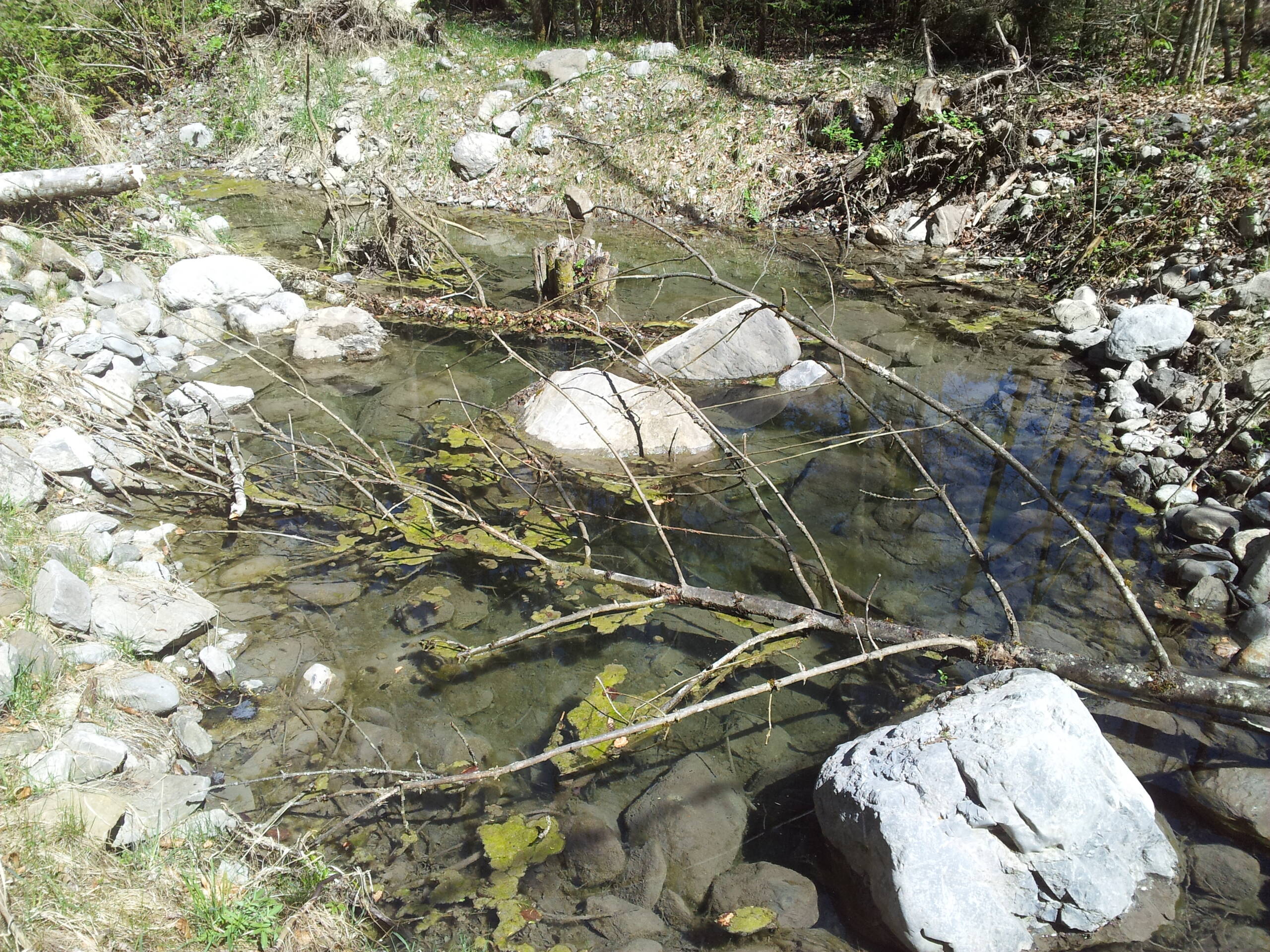Renaturierung Rächengräbli – Wasserbau – Ribuna AG InterlakenRibuna AG Interlaken