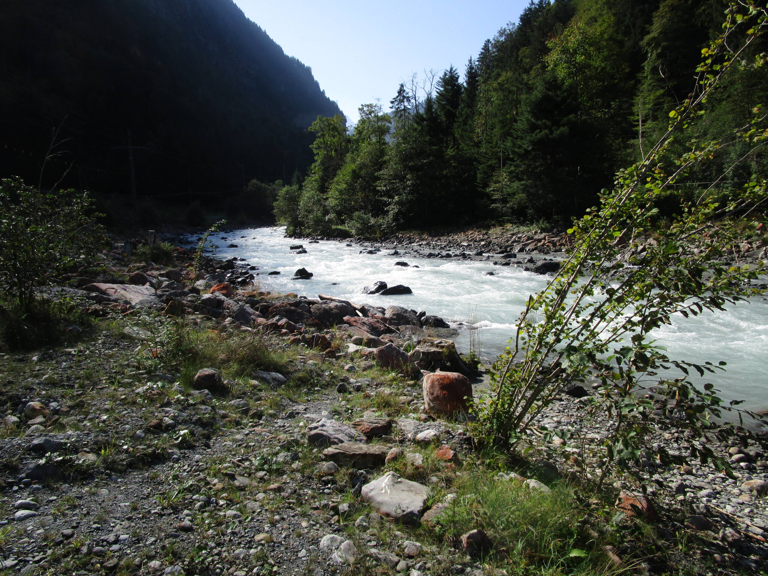 Wasserbaumassnahmen Fäldliwald – Wasserbau – Ribuna AG InterlakenRibuna AG Interlaken
