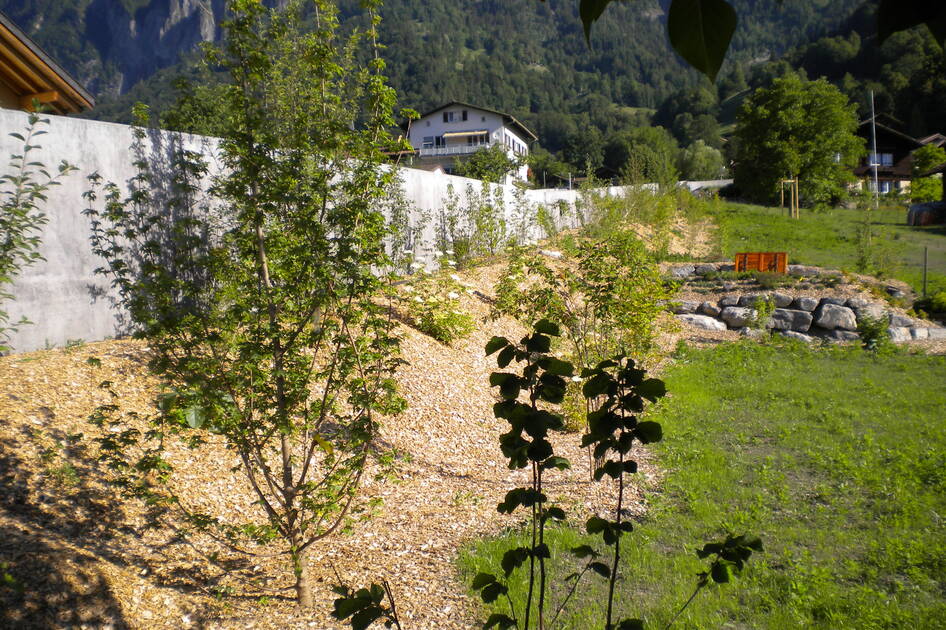 Quai Brienz Hafen Ländte – Wasserbau – Ribuna AG Interlaken