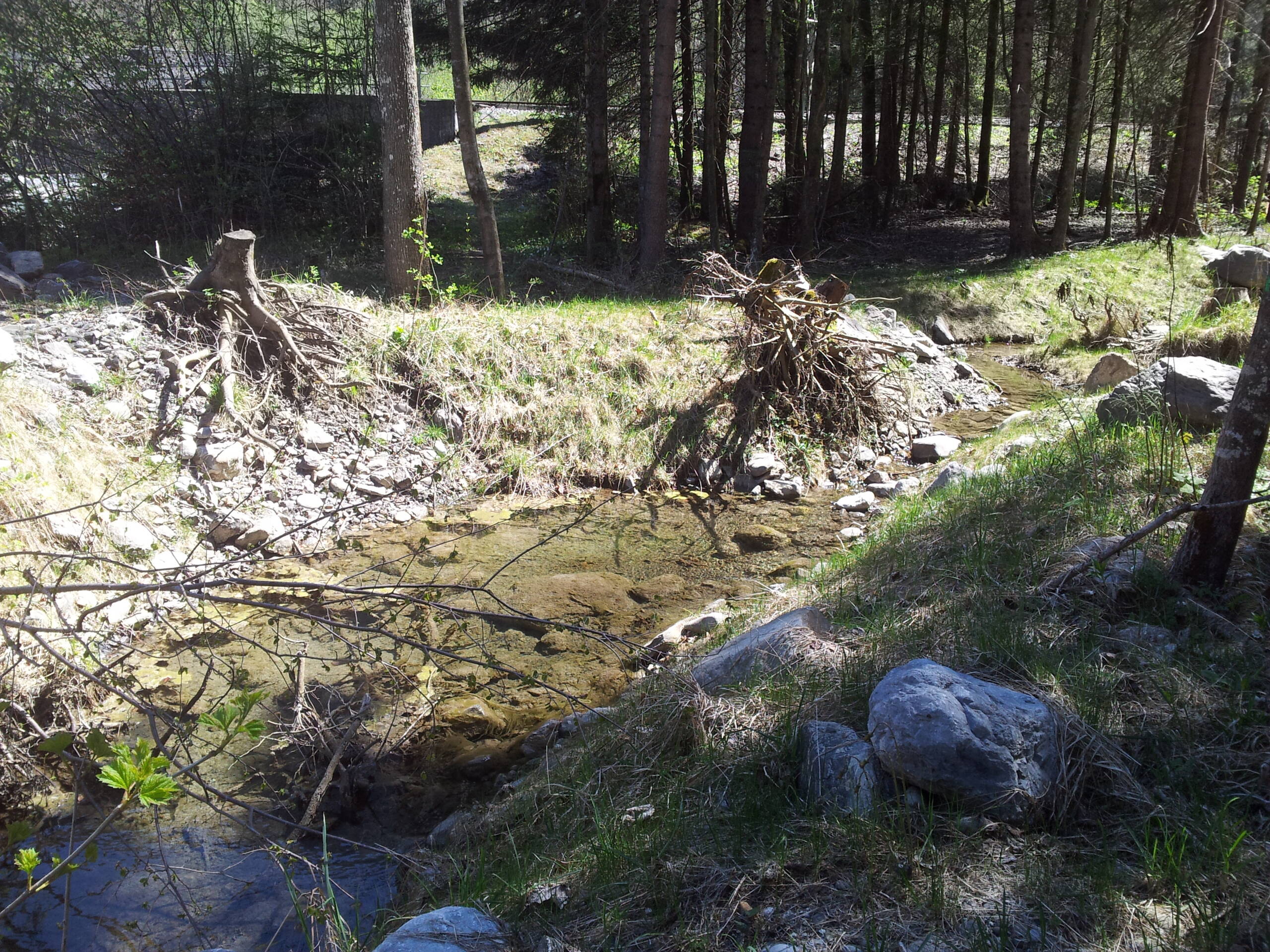 Renaturierung Rächengräbli – Wasserbau – Ribuna AG InterlakenRibuna AG Interlaken