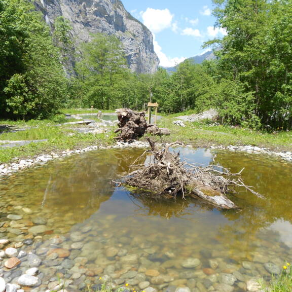 Ersatzmassnahmen WKW Stechelberg