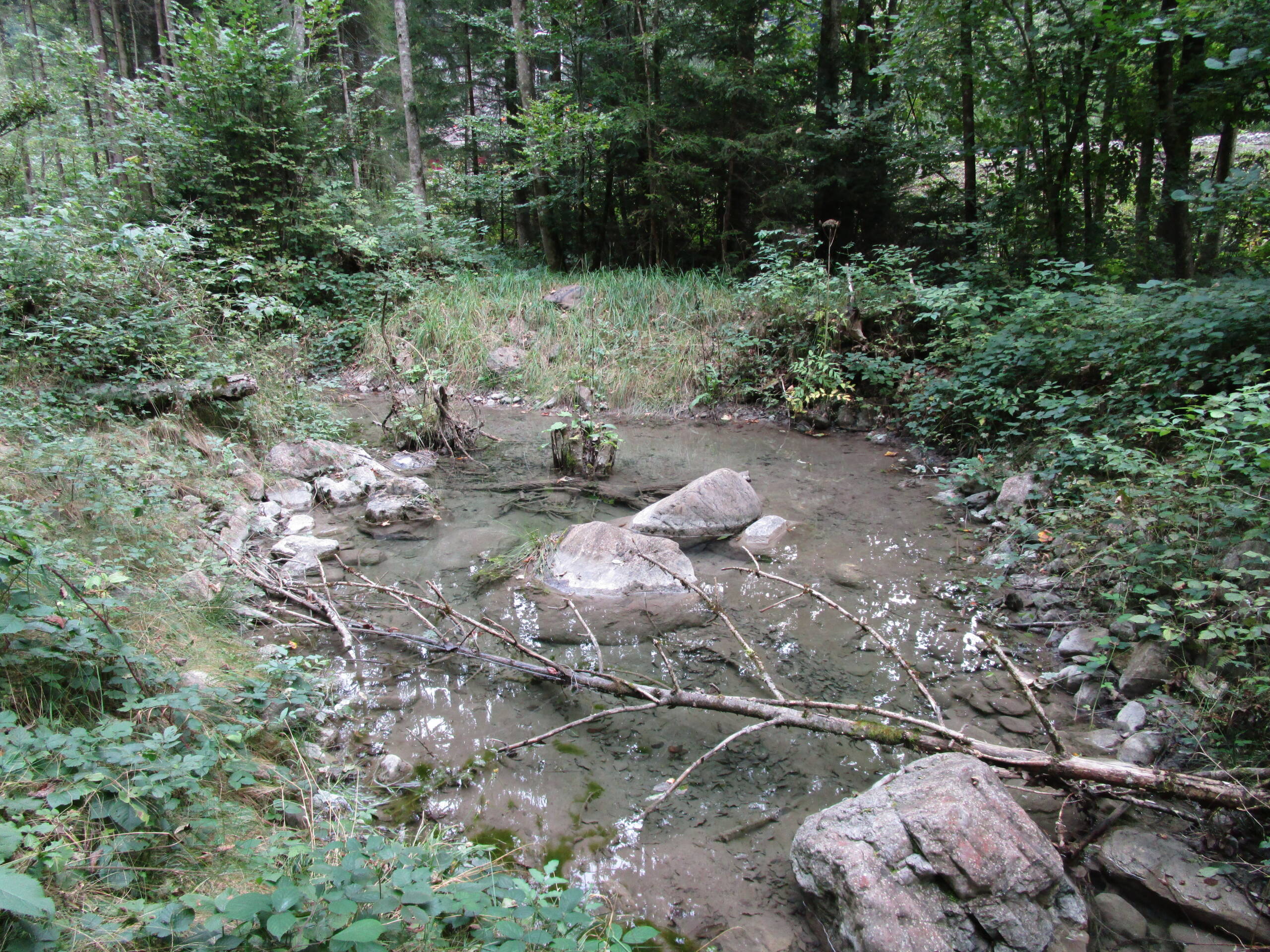 Renaturierung Rächengräbli – Wasserbau – Ribuna AG InterlakenRibuna AG Interlaken