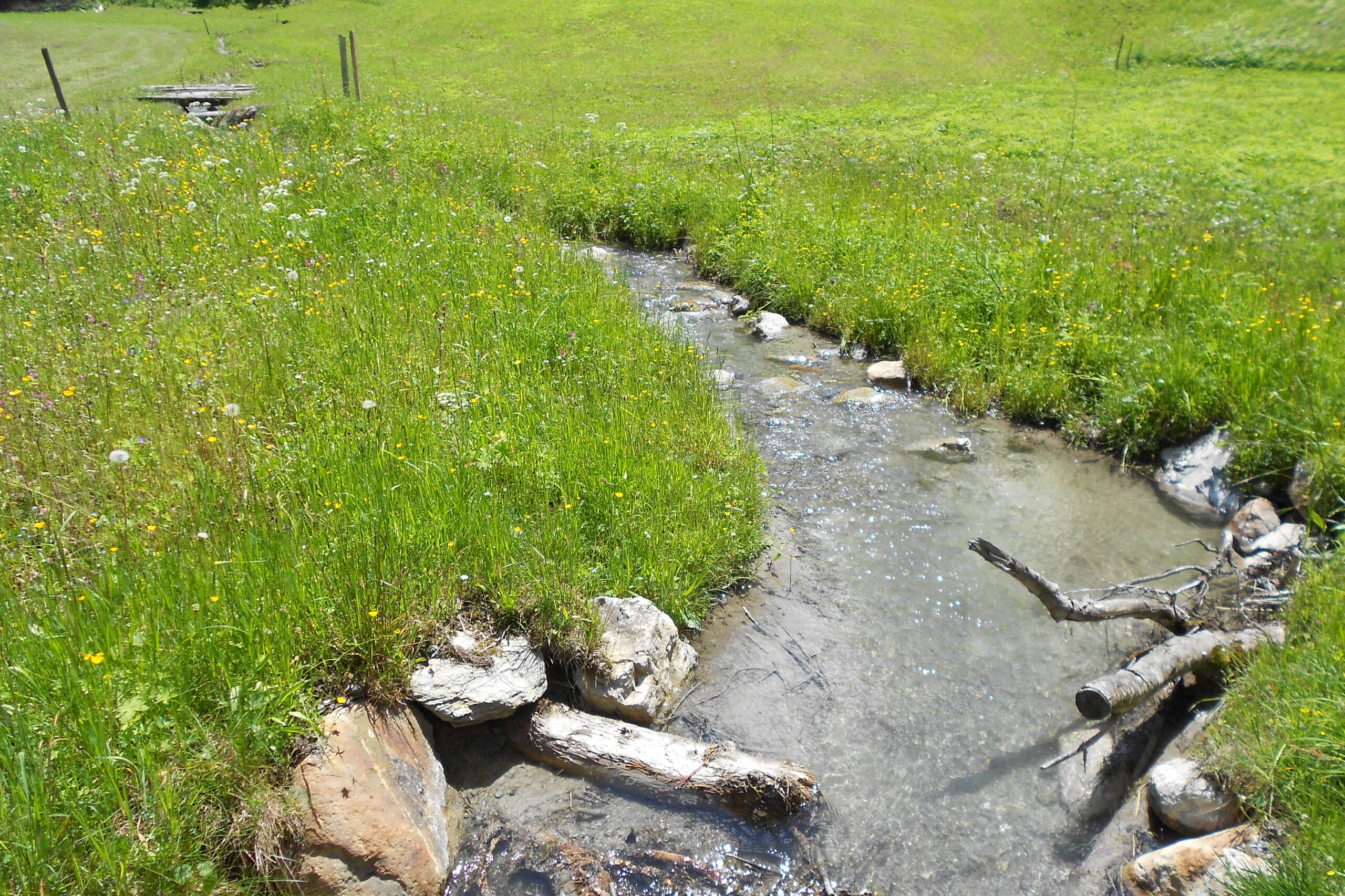 ISP Mösli Lauterbrunnen – Wasserbau – Ribuna AG Interlaken Ribuna AG Interlaken